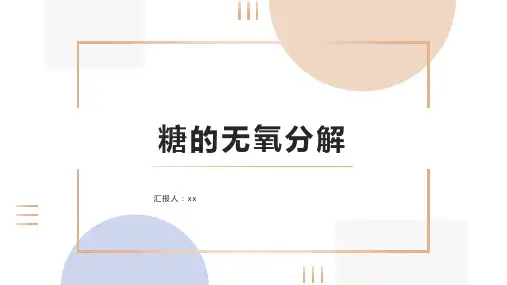 糖的无氧分解