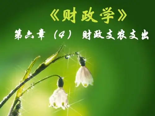 第六章4 财政支农支出