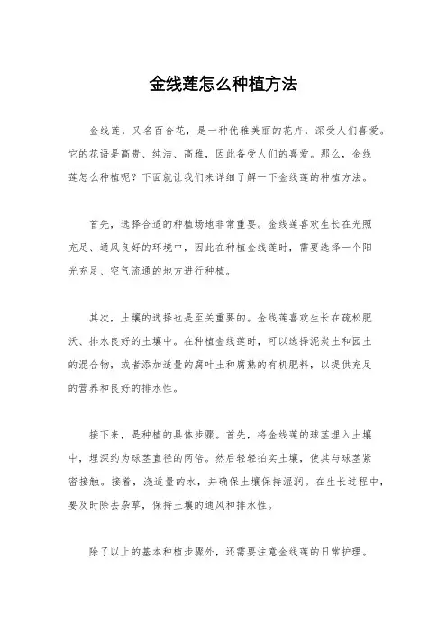 金线莲怎么种植方法
