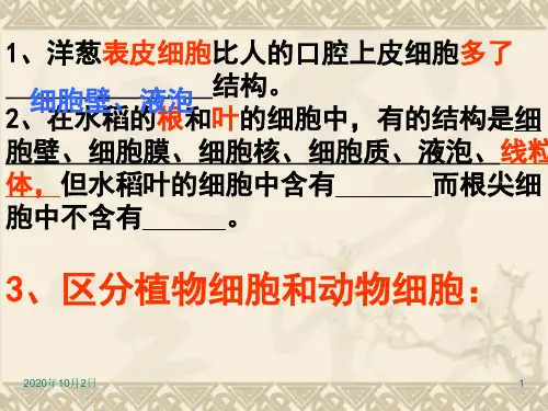 第二单元第一章第四节细胞的生活PPT课件