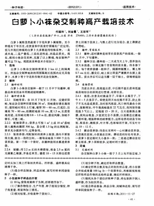 白萝卜小株杂交制种高产栽培技术
