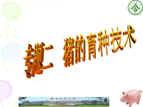 专题二 猪的育种技术
