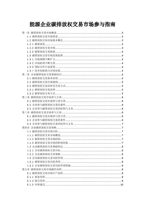 能源企业碳排放权交易市场参与指南