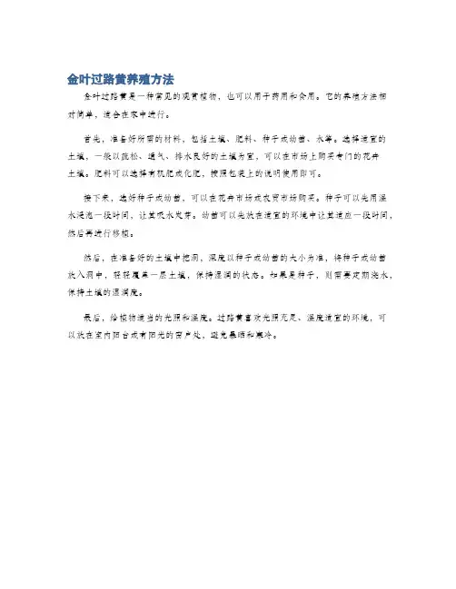 金叶过路黄养殖方法