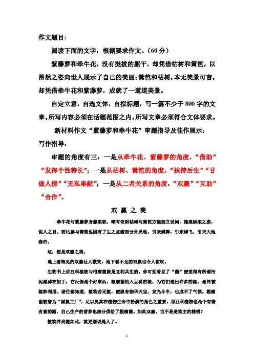 作文范文