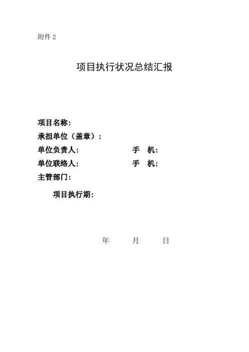 项目执行情况总结报告