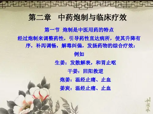 中药炮制与临床疗效ppt课件