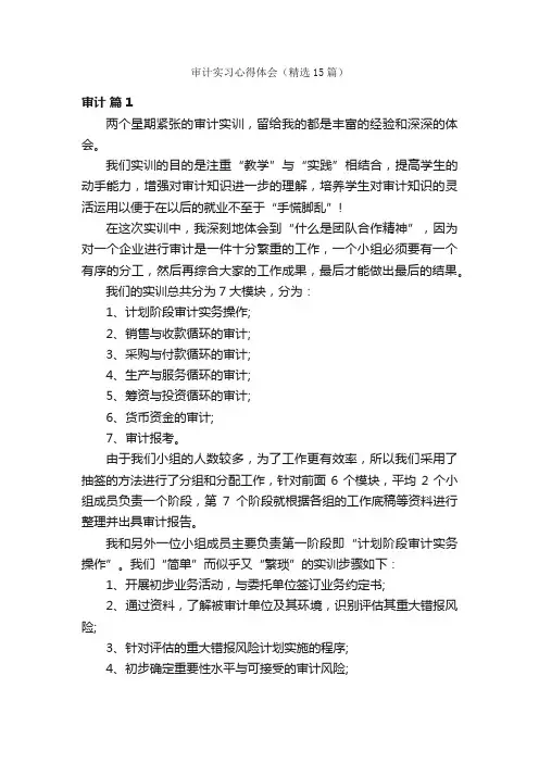 审计实习心得体会（精选15篇）