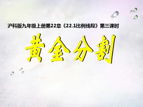 数学-沪科版-九年级上黄金分割