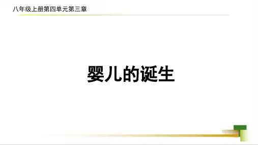 第一节婴儿的诞生课件-2023-2024学年济南版八年级生物上册