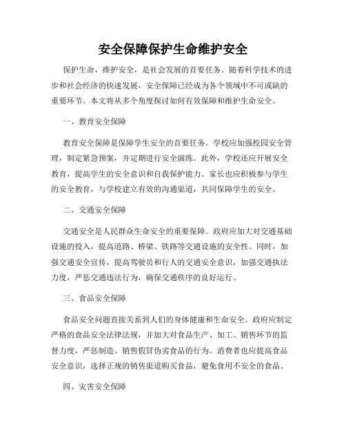 安全保障保护生命维护安全