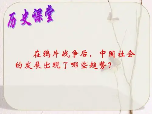 【初中历史】社会生活的变化PPT课件17