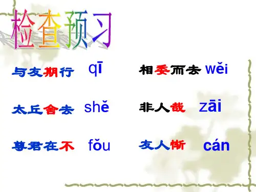 陈太丘与友期行-ppt课件.ppt