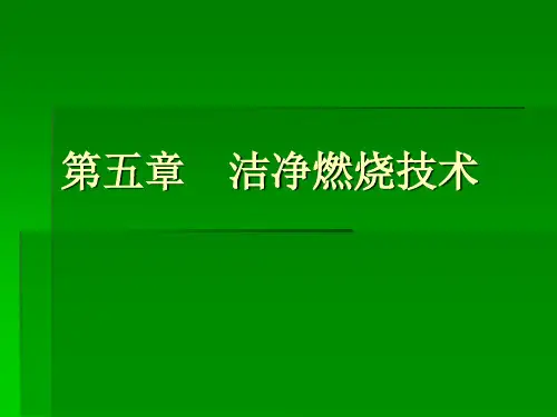 洁净燃烧技术
