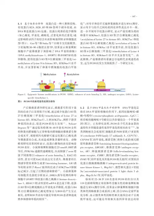 高雄激素诱导多囊卵巢综合征表观遗传机制的研究进展