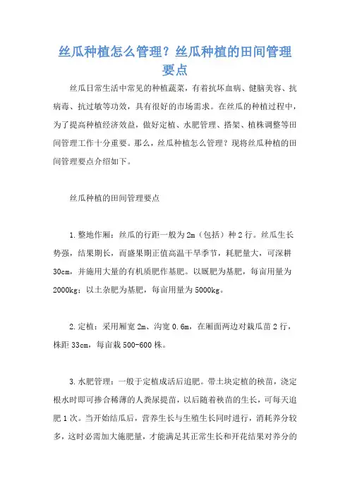 丝瓜种植怎么管理？丝瓜种植的田间管理要点
