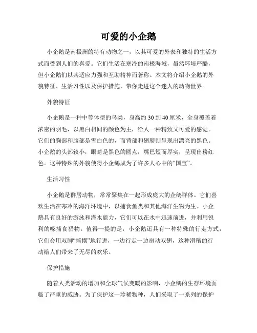 可爱的小企鹅
