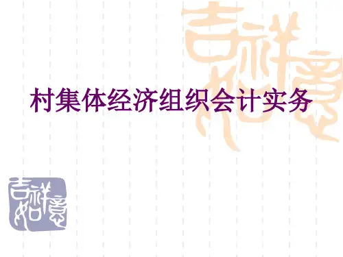 村集体经济组织会计实务