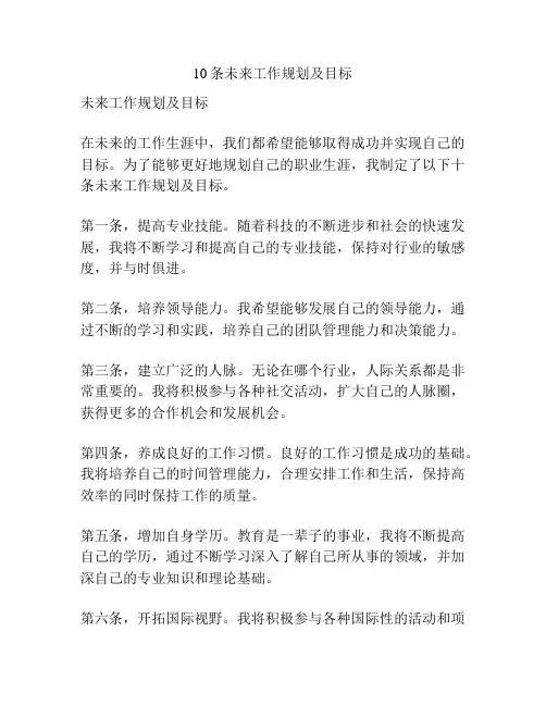 10条未来工作规划及目标