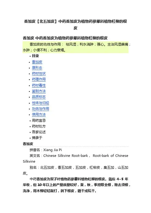 香加皮【北五加皮】中药香加皮为植物药萝藦科植物杠柳的根皮