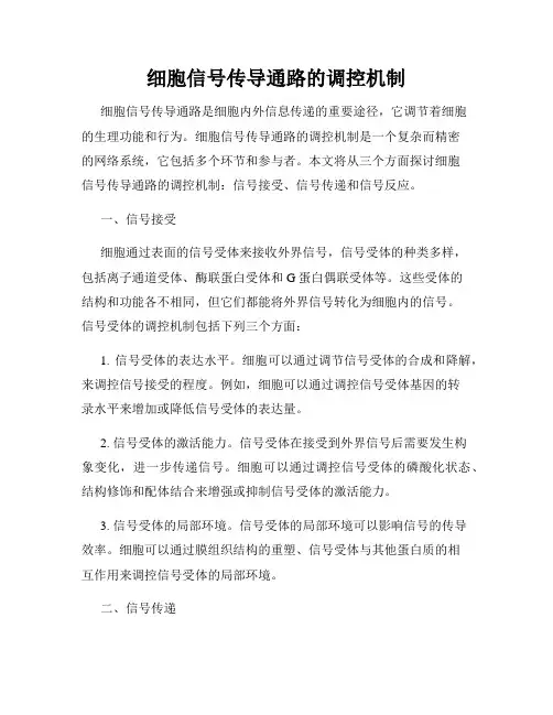 细胞信号传导通路的调控机制