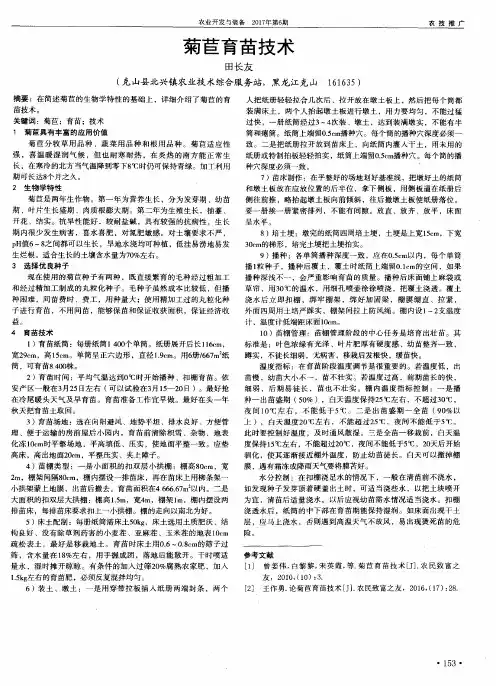 菊苣育苗技术