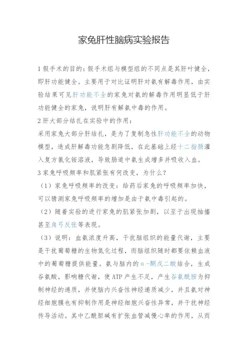 家兔肝性脑病实验报告