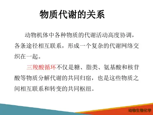 物质代谢的调节(动物生物化学课件)