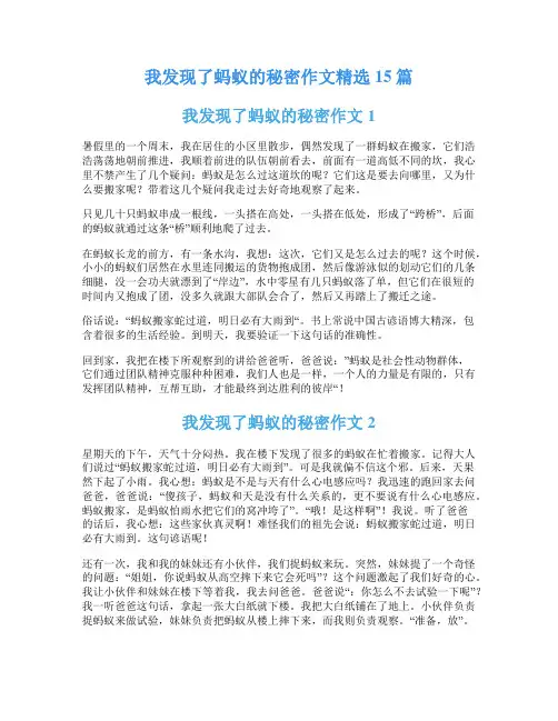 我发现了蚂蚁的秘密作文精选15篇