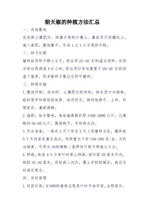 朝天椒的种植方法总结