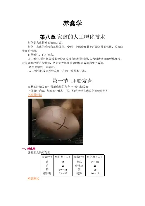 养禽学 第八章 家禽的人工孵化技术