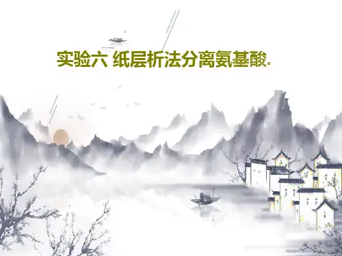 实验六 纸层析法分离氨基酸.20页PPT