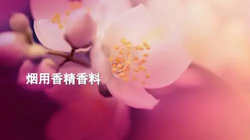 烟用香精香料-文档资料