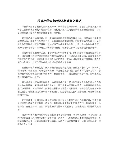 构建小学体育教学高效课堂之我见