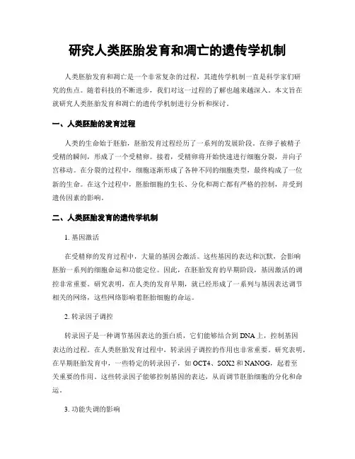 研究人类胚胎发育和凋亡的遗传学机制