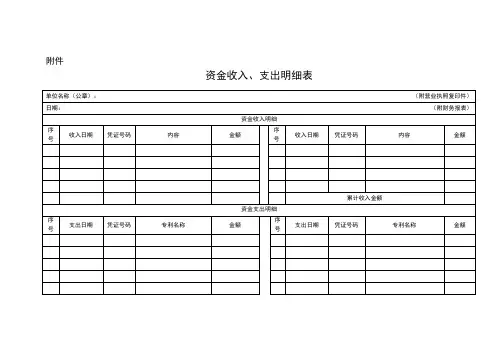 资金收入、支出明细表
