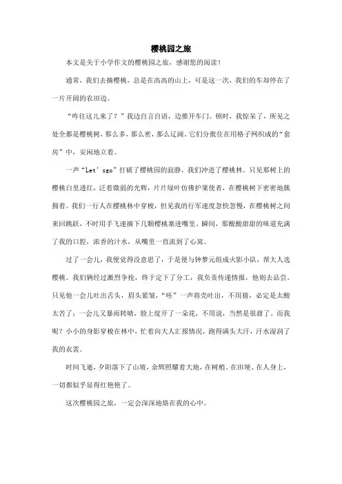 樱桃园之旅_小学作文