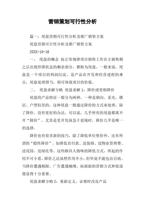 营销策划可行性分析