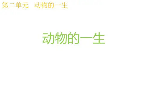 最新科教版三年级科学下册《动物的一生》教学课件