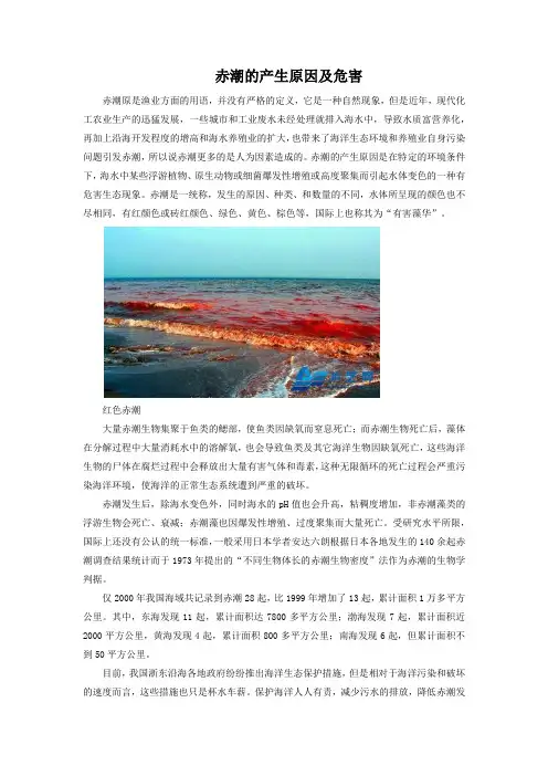 赤潮的产生原因及危害
