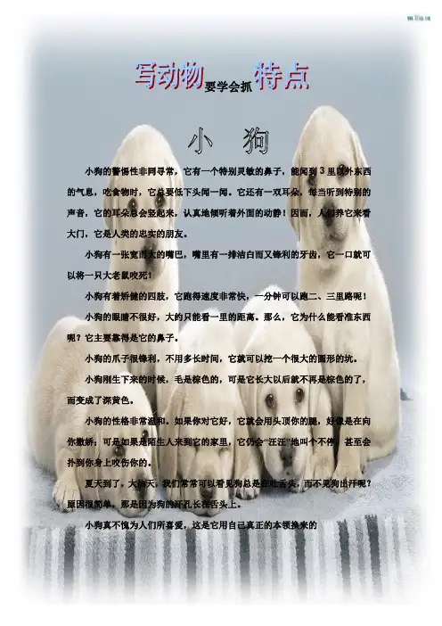 三年级作文第七讲整理稿