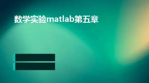 数学实验MATLAB第五章