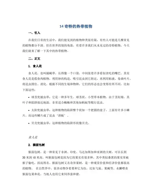 14 奇特的热带植物 (导学案)2022-2023学年美术三年级上册
