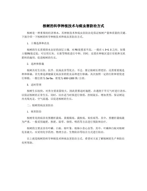 桉树的科学种植技术与病虫害防治方式