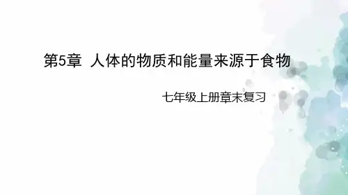 苏科版生物-七年级上册-初中七年级上册第5章 人体的物质和能量来源于食物课件