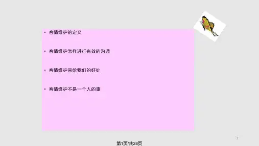 如何有效的维护客情PPT课件