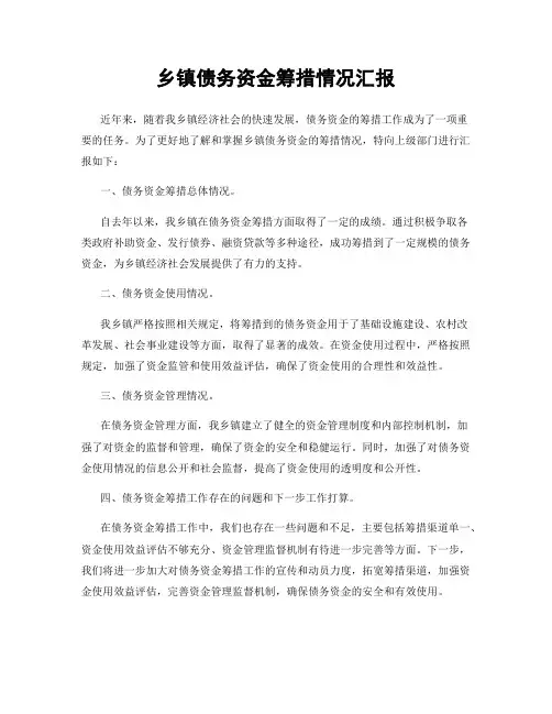 乡镇债务资金筹措情况汇报