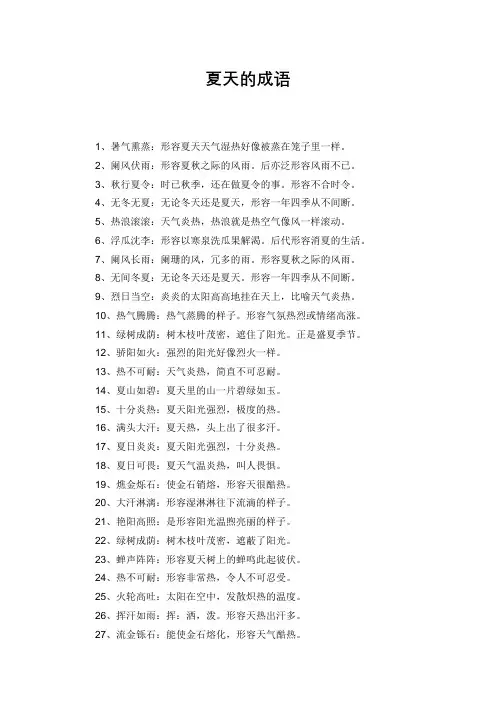 夏天成语100个