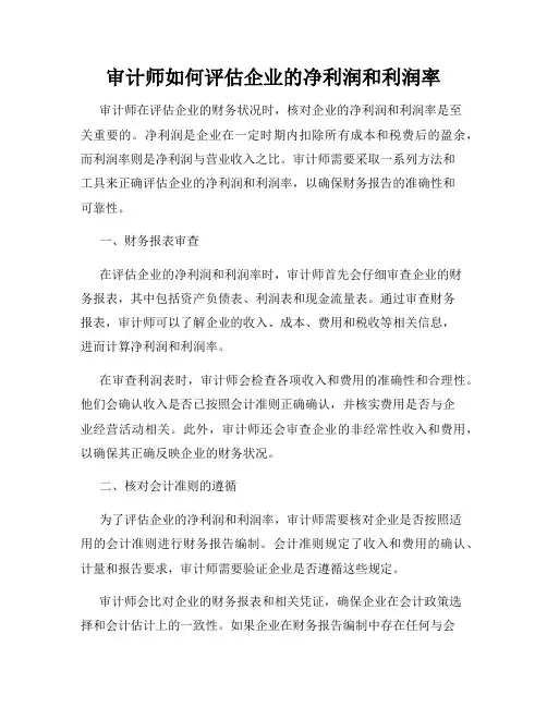 审计师如何评估企业的净利润和利润率
