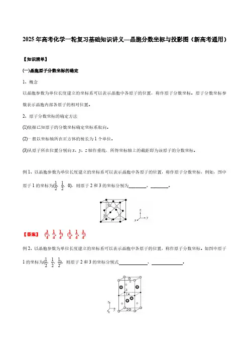 2025年高考化学一轮复习基础知识讲义—晶胞分数坐标与投影图(新高考通用)